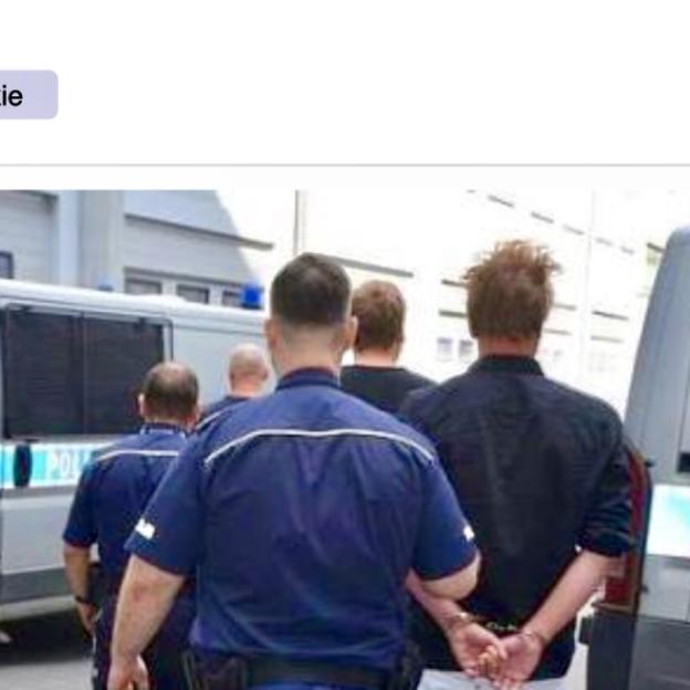 [VIDEO] Polscy Policjanci zatrzymali Norwegów, którzy uszkodzili samochody